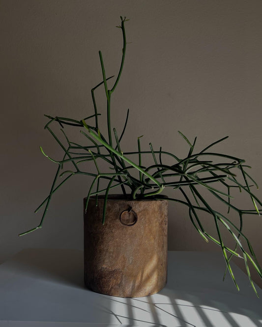 VINTAGE TURKISH WOODEN POT No2