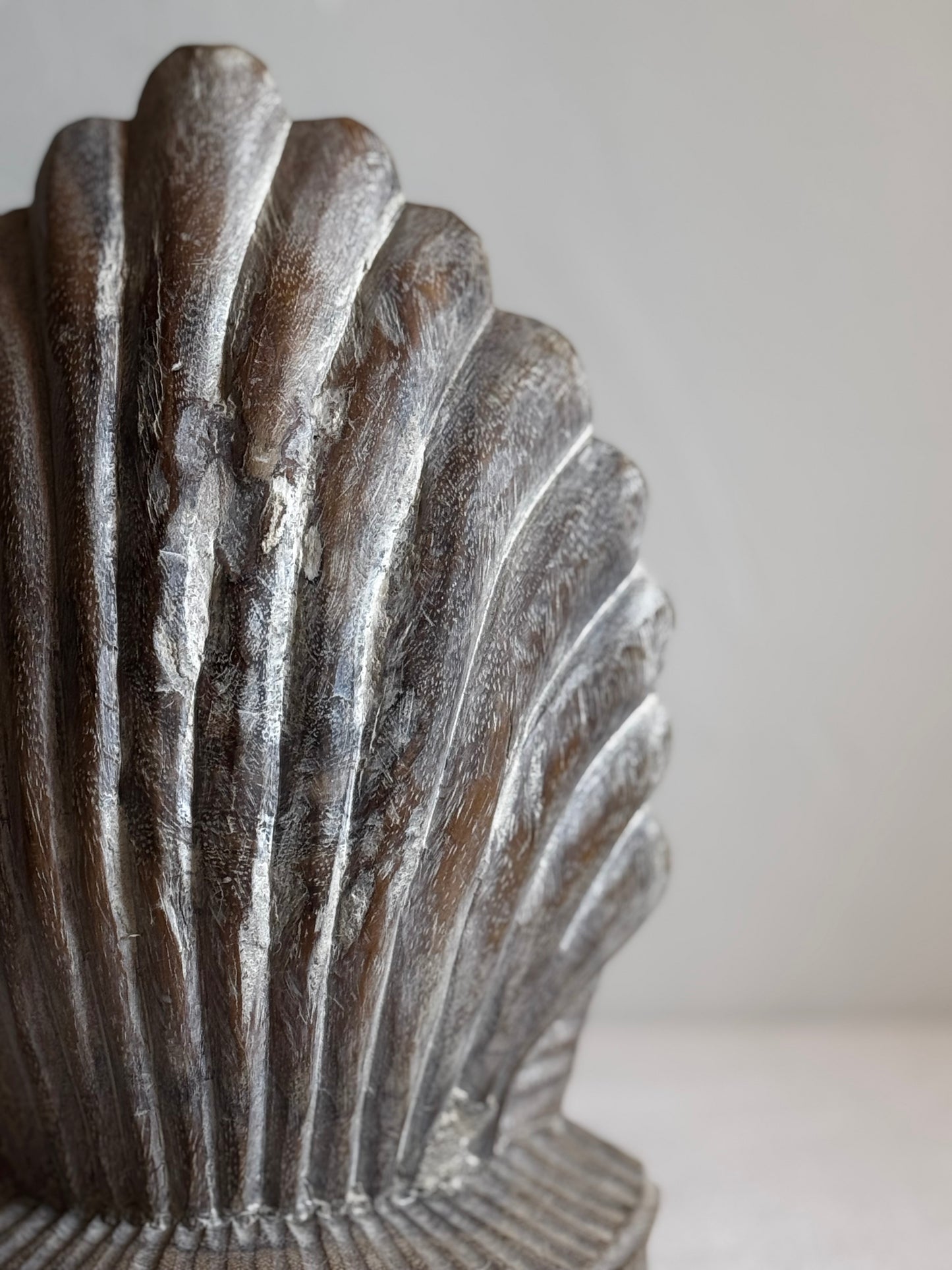WOODEN SCALLOP SHELL SET