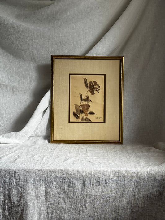 VINTAGE JAPANESE CAMELLIA BOTANICAL PRINT