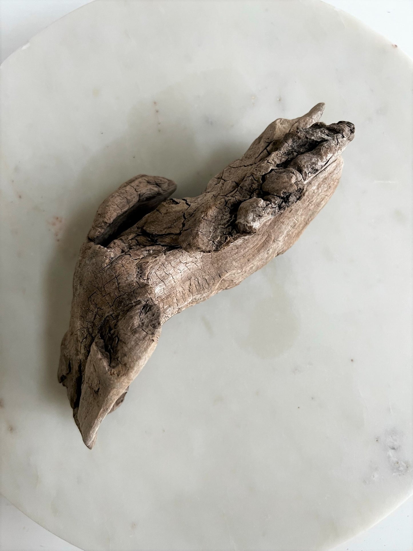 DRIFTWOOD BRANCH No1