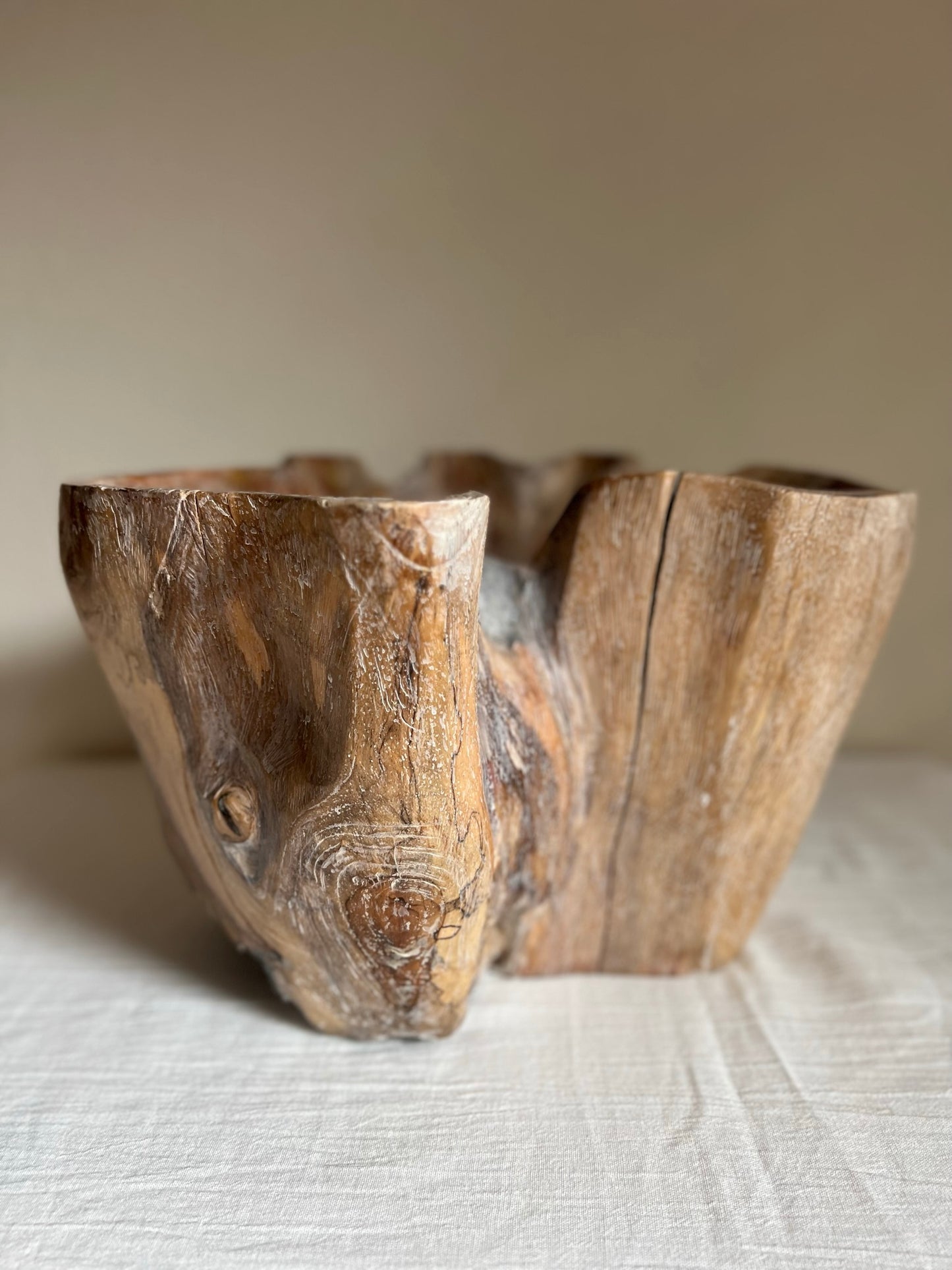 GIANT TEAK ROOT BOWL No2