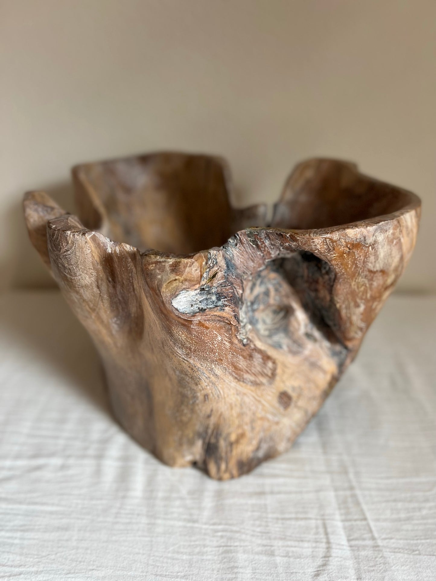 GIANT TEAK ROOT BOWL No2