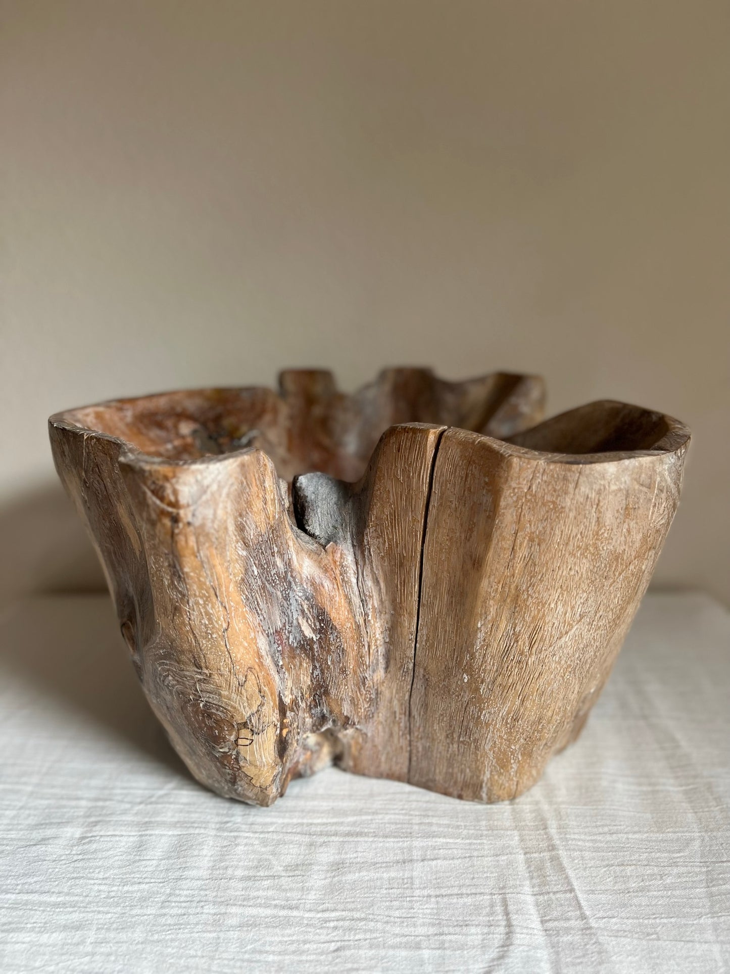 GIANT TEAK ROOT BOWL No2