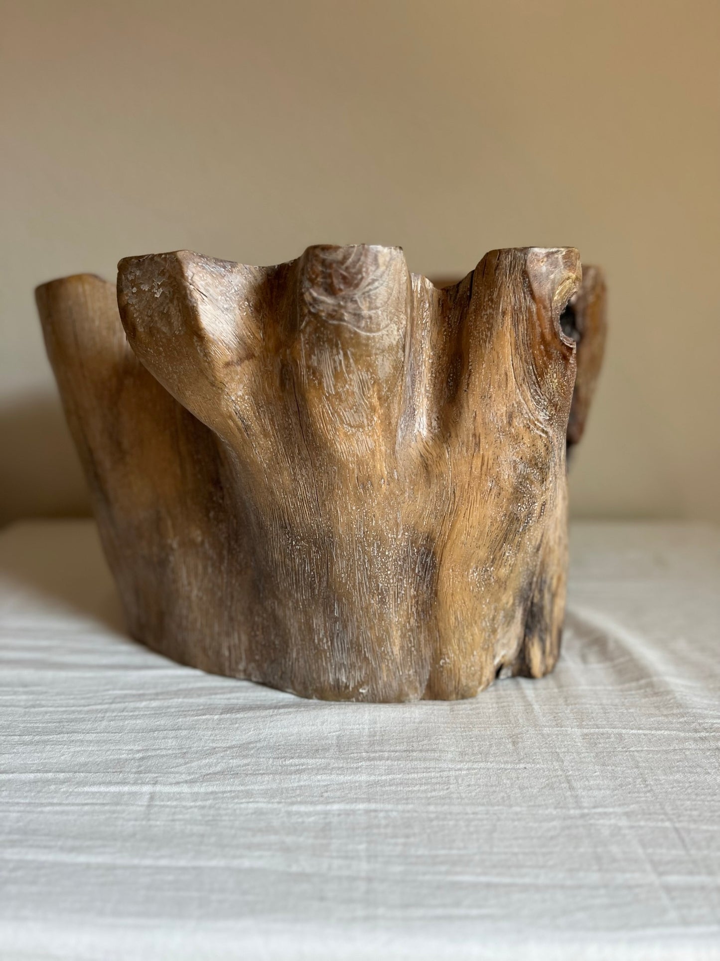 GIANT TEAK ROOT BOWL No2