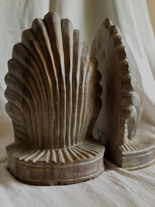 WOODEN SCALLOP SHELL SET